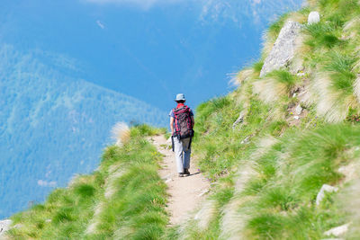 Rear view of hiker with backpack walking on mountain trail