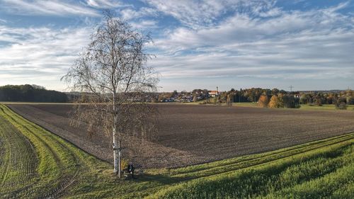 Scenic view of agricultural field against sky