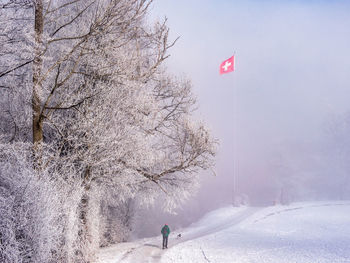 People skiing on snow