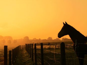 Silhouette horse on wooden post against sky during sunset