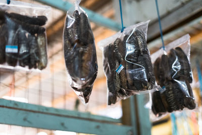 Dried sea cucumber tied into several bundles for sale, hanging from above, at a local market.