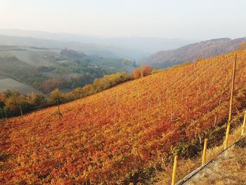 Scenic view of landscape against sky during autumn