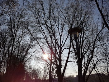 Low angle view of bare trees against sky