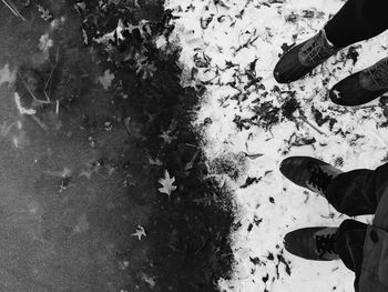 Low section of people standing on land