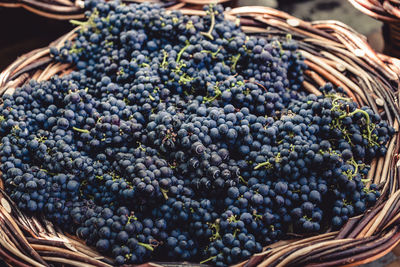 Close-up of grapes in basket