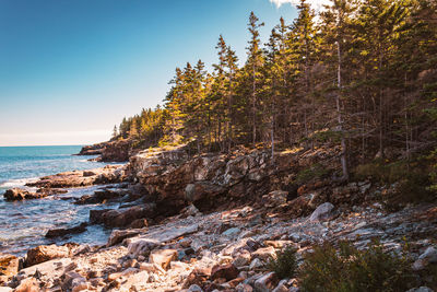 Acadia national park fall season