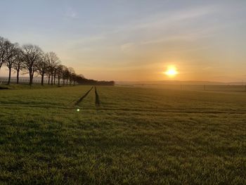 Scenic view of field against sky during sunset