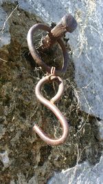 High angle view of snake