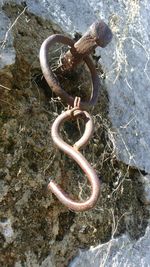 High angle view of snake