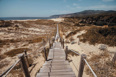 Rear view of woman on steps at beach