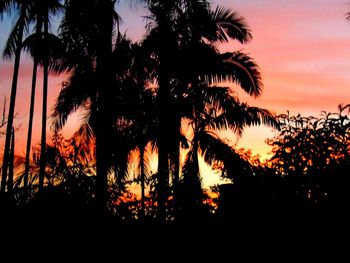 Silhouette trees against sky during sunset