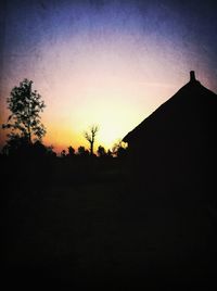 Silhouette of trees at sunset