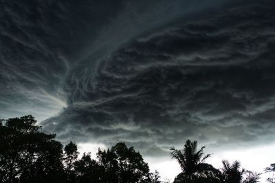 Low angle view of trees against cloudy sky