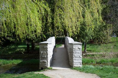 Trees growing in park