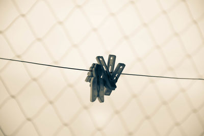 Low angle view of clothespins on clothesline