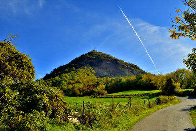 Scenic view of road by trees against blue sky