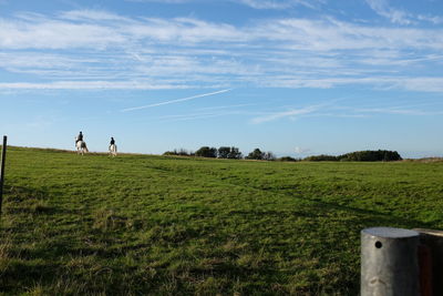 Scenic view of field against sky