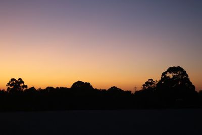 Silhouette trees against clear sky during sunset