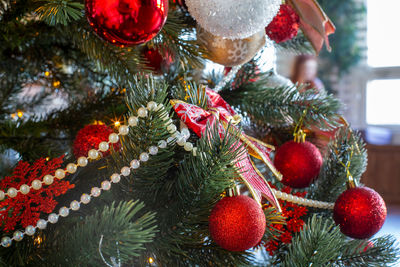 Close-up of christmas tree