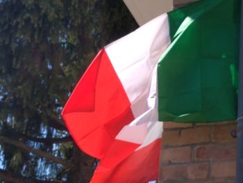 Low angle view of flag against trees