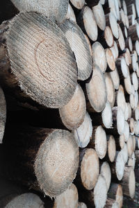 Full frame shot of logs in forest