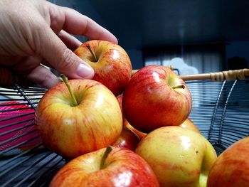 Close-up of hand holding fruits