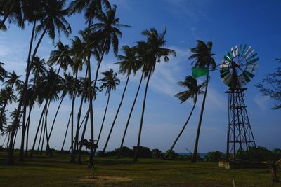 Low angle view of palm trees on field against sky