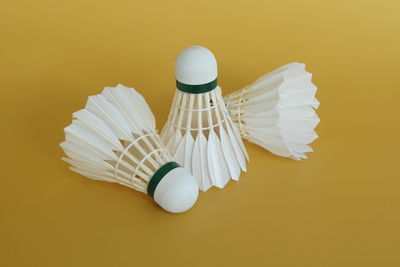 High angle view of shell on table