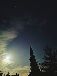 Low angle view of silhouette trees against sky at night