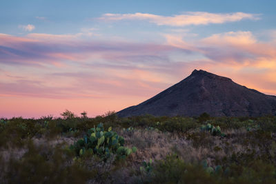 Scenic view of field against sky during sunset