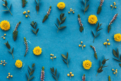 High angle view of blue flowers on floor