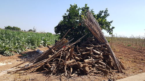 Stack of logs on field against sky
