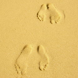 High angle view of footprints on beach