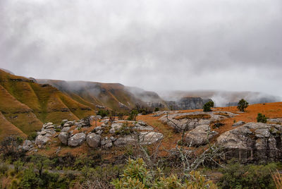 Scenic view of landscape against sky