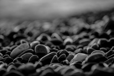 Full frame shot of stones