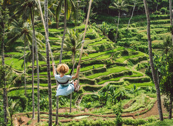 Rear view of woman swinging in forest