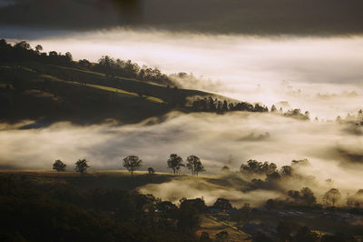 Scenic view of landscape against sky during foggy weather