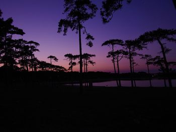 Silhouette trees on landscape against sky at sunset