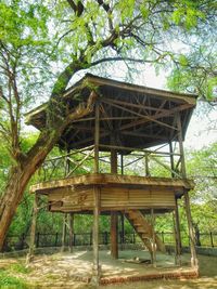 Wooden structure on wooden wall