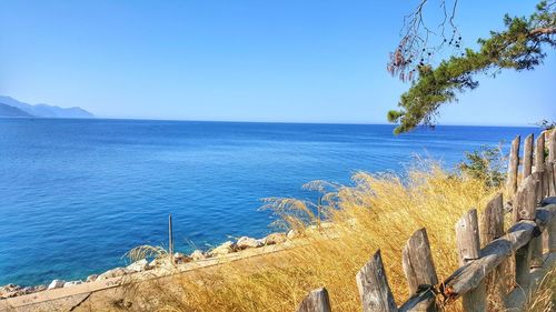 Scenic view of sea against clear blue sky