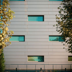 Low angle view of building, simmetric array of 4 rectangular windows, industrial