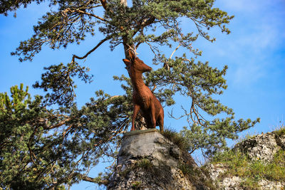 Low angle view of monkey sitting on tree trunk