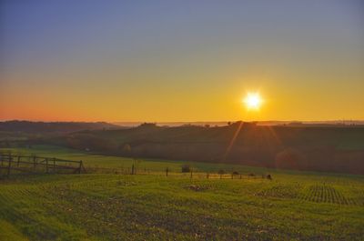 Scenic view of field against sky during sunset