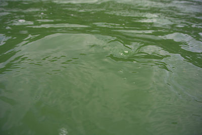 Full frame shot of rippled water