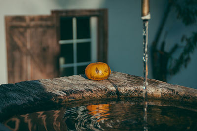 Close-up of orange fruit on wood