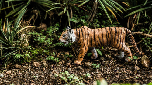 Tiger walking in a field -- toys photo
