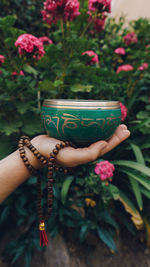 Close-up of hand holding flower pot