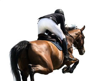 Rear view of woman riding horse in competition