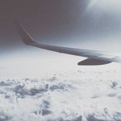 Bird flying over the sky