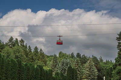 Low angle view of trees against sky
